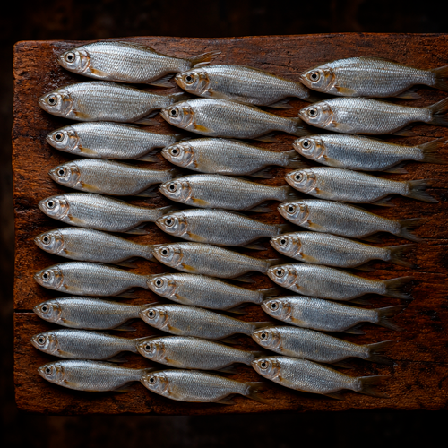 PIABA (bandeja)